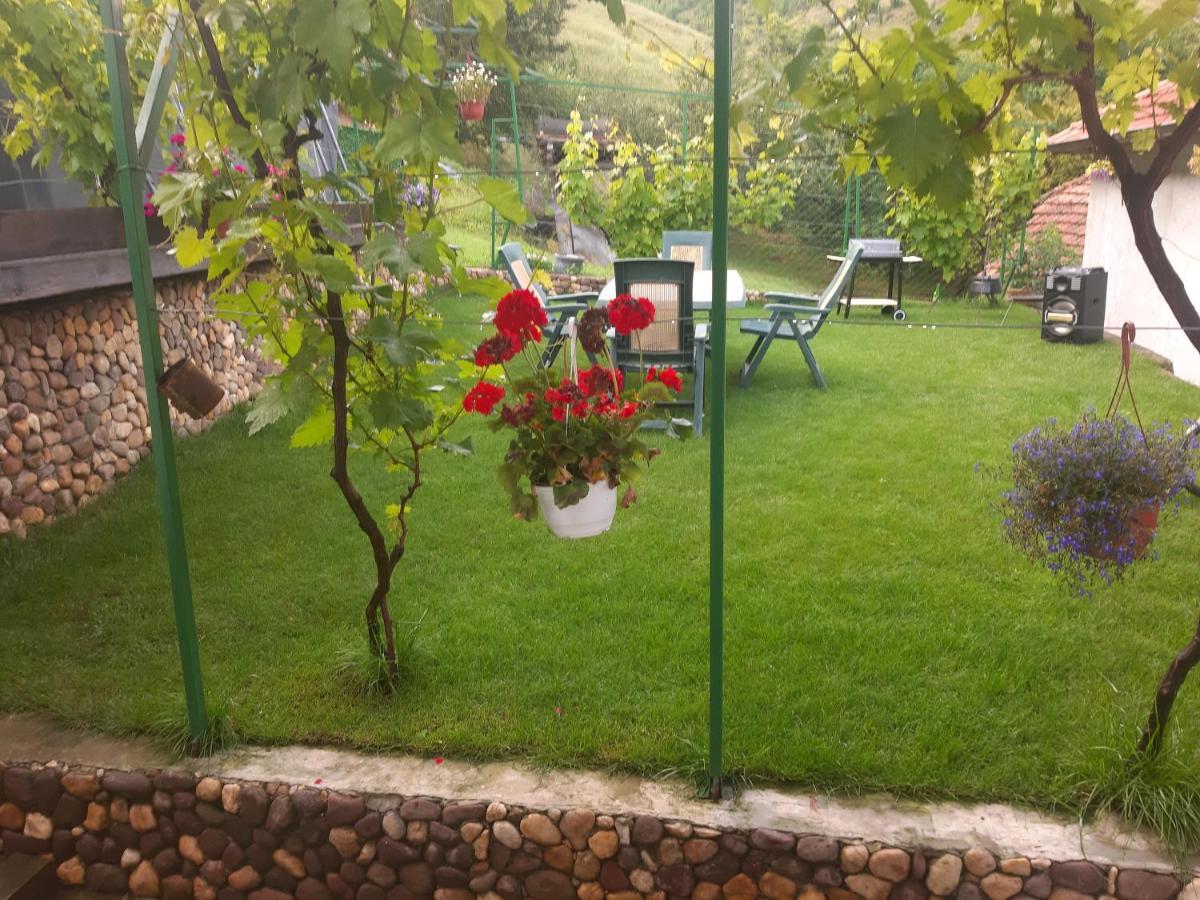 Vila Mir Pirot Bagian luar foto
