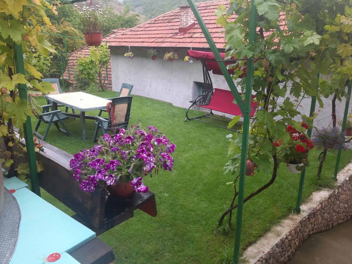 Vila Mir Pirot Bagian luar foto